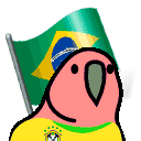 a bird with a flag in its beak