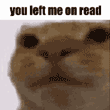 a picture of a bear with a caption that reads, you left me on