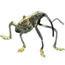 a picture of a bug on a black background