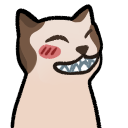 a cat with a big smile on it's face