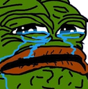 a frog with a sad look on its face