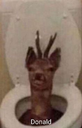 a picture of a person sticking their head out of a toilet