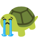 a turtle with a sad look on its face