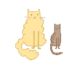 a cat and a cat sitting next to each other