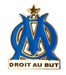 a blue and white emblem with a star on top of it