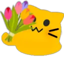 meow bouquet random