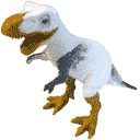 t gull random