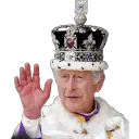 king charles wave random