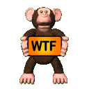 wtf monkey random