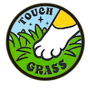 touch grass cat random