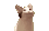 cat pakupaku random