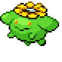 skiploom random
