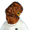 its a trap random