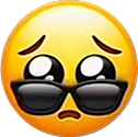 aww sunglasses random