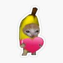 bananacat heart random