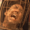 not the bees random