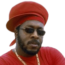 lyrical gangsta ini kamoze random