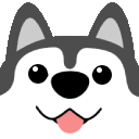 husky sunglasses random