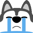 husky sob random