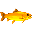 salmon party random
