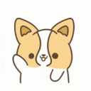 corgiwave random