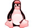 party linux random