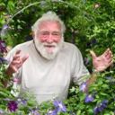 david bellamy random