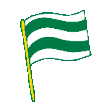 bajen flag random