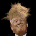 trump random