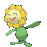 sunflora random