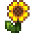 stardew sunflower random