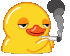 smoking duck random