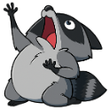 dramatic raccoon random