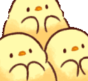 chickies yay random
