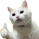 thumbs up cat random