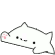 bongo cat hype random