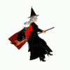 a woman in a witch costume holding a broom