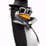 penguin2 random