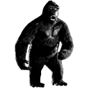 king kong 1933 random