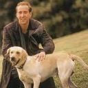 cage pets dog random