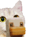 chickenjockey random