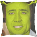 shrek cage on a cushion random