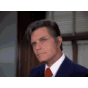 hawaii five o book em danno random