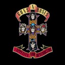 guns n roses appetite for destruction random