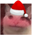 blush catsanta random