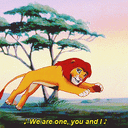 we are one lion king random