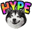 husky hype random