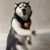 husky dance random