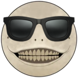nier sunglasses random