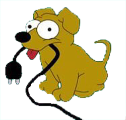 technical difficulties dog random